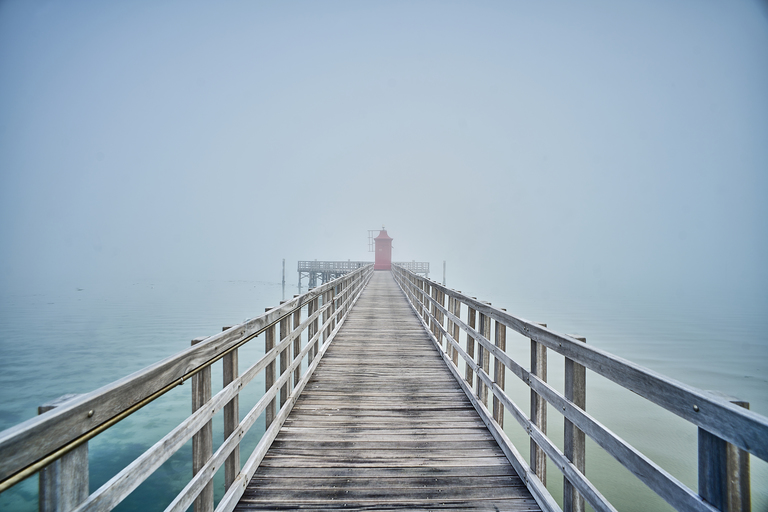 Whispers of Winter: Nature-Inspired Art Collection