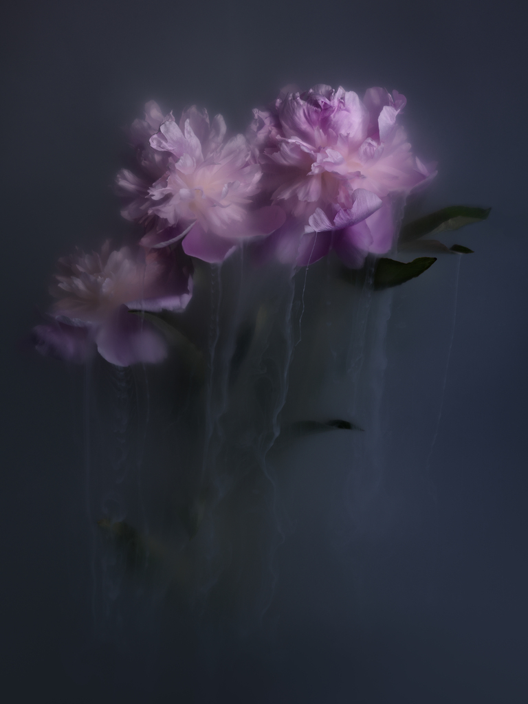 Mysteries of Surreal Visions