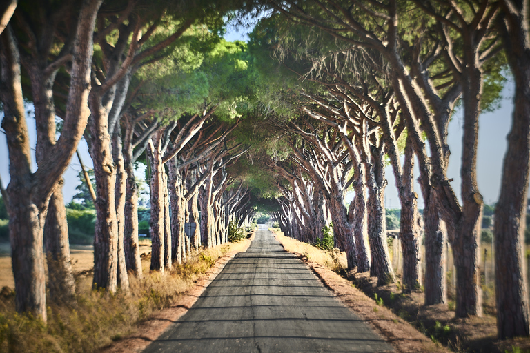 Toscana-Retro_Terra_02