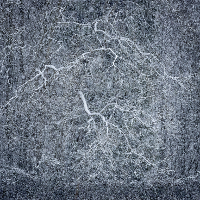 Snowscape