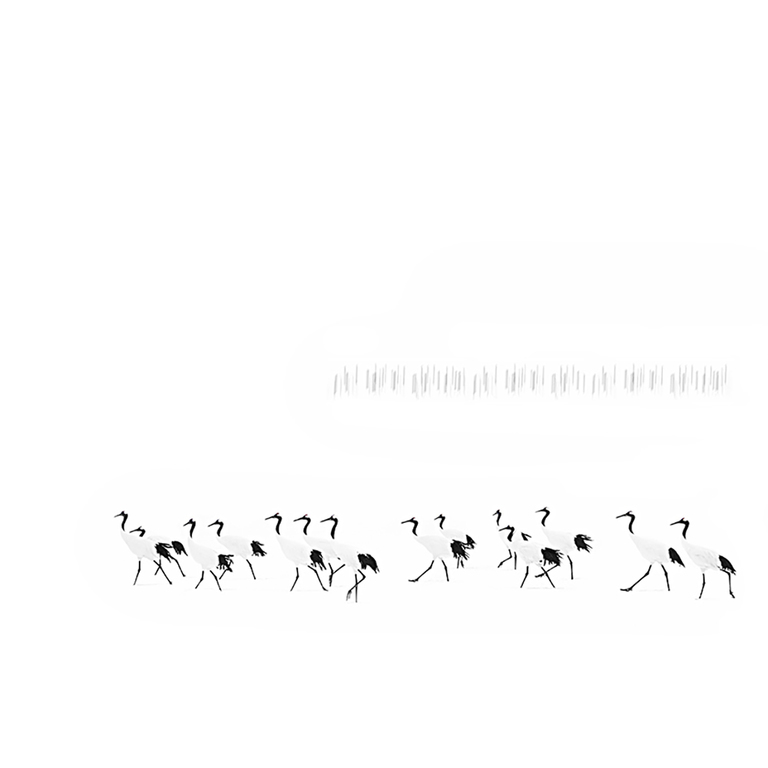 Minimalism: Japanese graphics