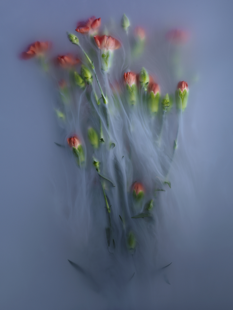 FlowerPower