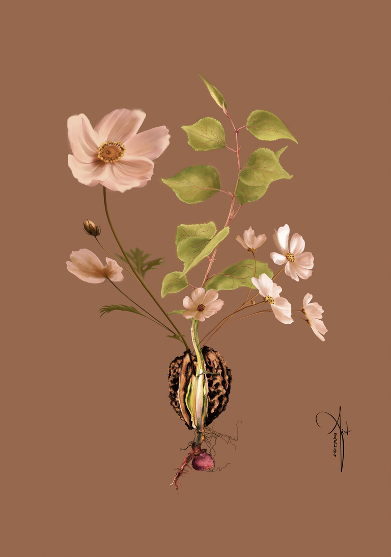 Botanical IV